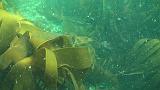 2011-06-15 16-58-55 UK_03
